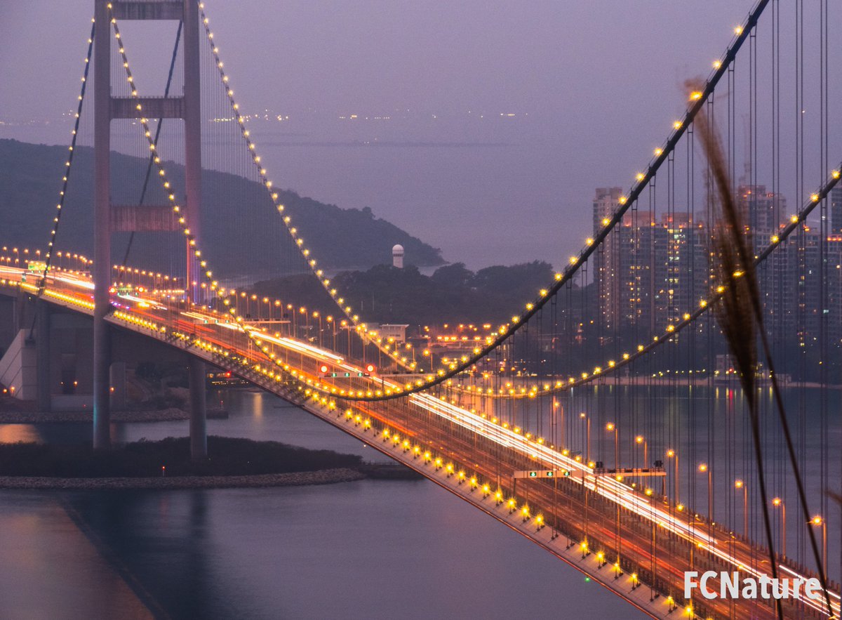 FCNature's tweet photo. Tsing Ma Bridge
#city #cityview #cityscape #cityexplore #citylife #citywalk #tsingmabridge #nightscenery 
#FCNature #FCNaturecommunity #FCNaturesports #natureinthecity #explore #photo #walkinginthecity #holiday #weekend #bestoftheday #picoftheday #hongkong #hk #香港 https://t.co/OLi0y0OfZ1