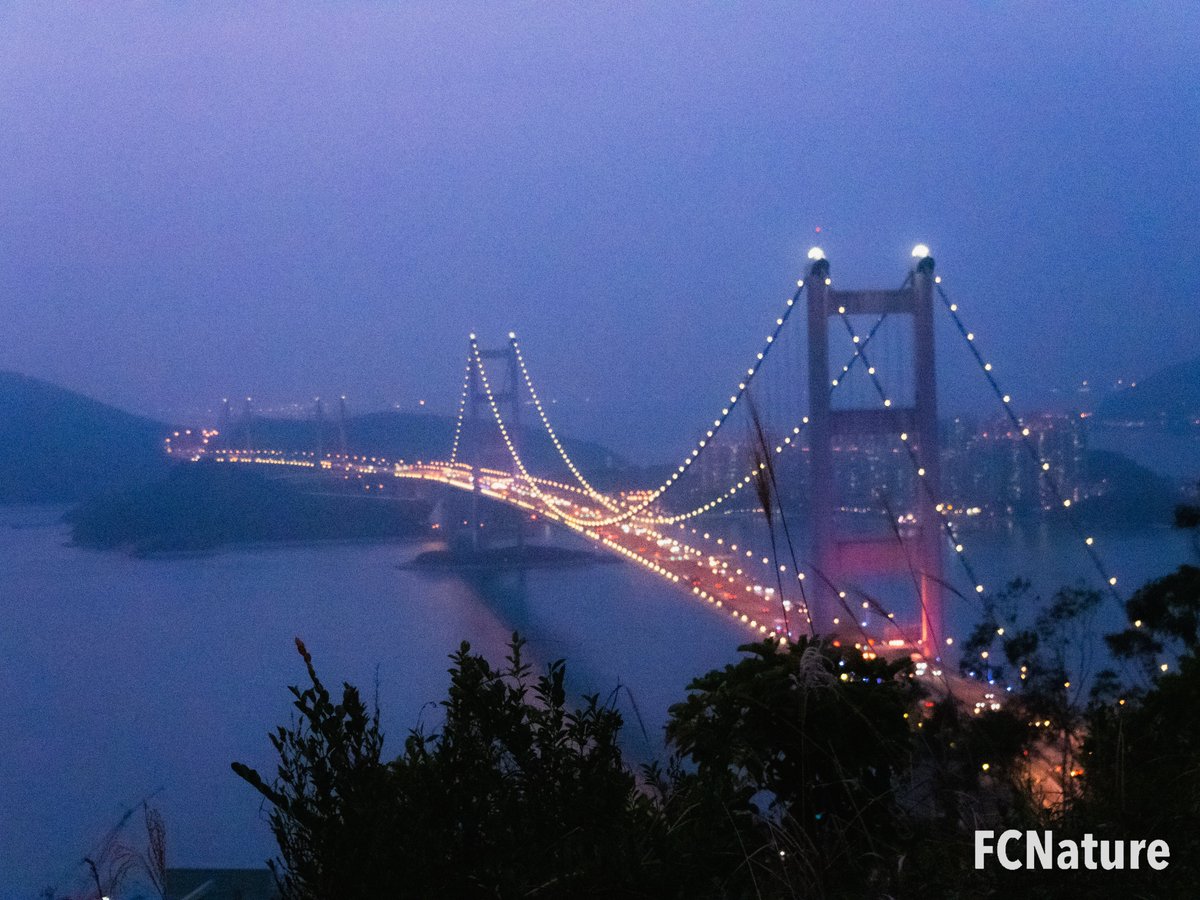 FCNature's tweet photo. Tsing Ma Bridge
#city #cityview #cityscape #cityexplore #citylife #citywalk #tsingmabridge #nightscenery 
#FCNature #FCNaturecommunity #FCNaturesports #natureinthecity #explore #photo #walkinginthecity #holiday #weekend #bestoftheday #picoftheday #hongkong #hk #香港 https://t.co/OLi0y0OfZ1