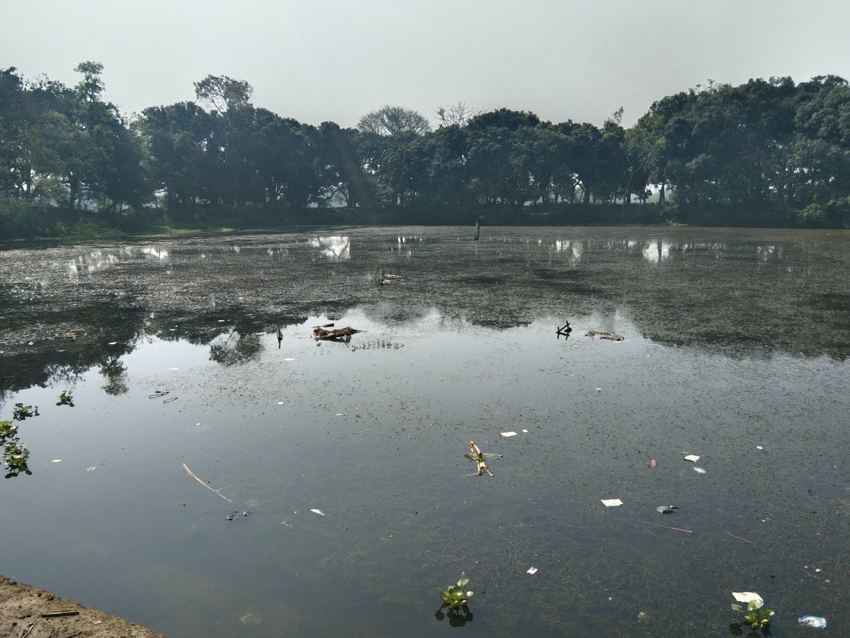 mimteyaz's tweet photo. A filthy village pond awaiting its owner in metropolis to come and get it cleaned!!!! https://t.co/tIpChQRAOh