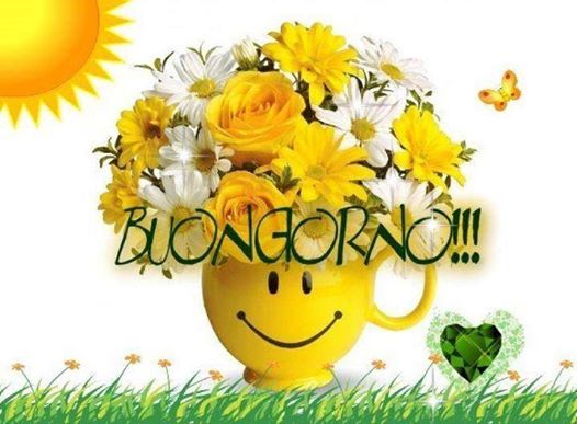moraf_77's tweet photo. @ElMy19725949 https://t.co/Cj2izI0w23