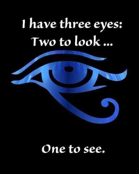 SarahKollar3's tweet photo. https://t.co/s8Nt5herRK