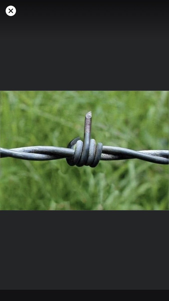 “Nasıl bakarsan öyle görürsün” 👀 
#carsamba