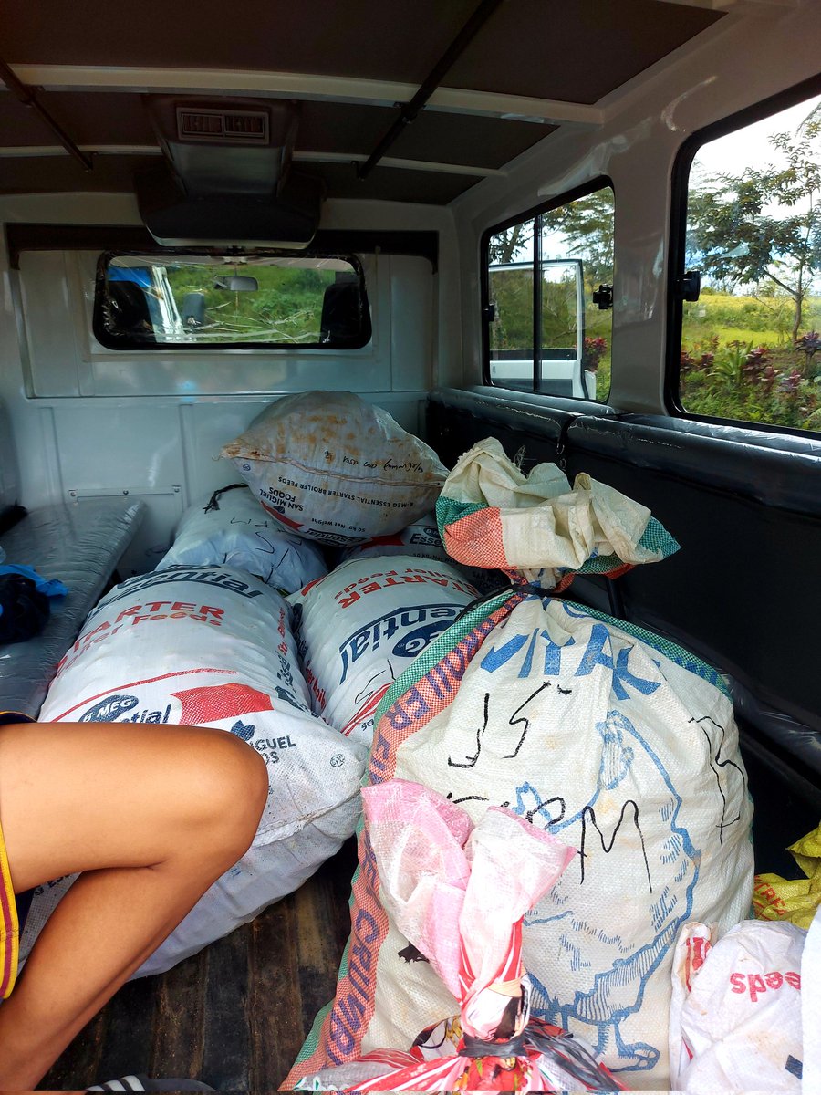 ItsMeRomeo7's tweet photo. Salamat lord jackpot jud atsal 🙏 tulo ka semana pa sgeg harvest bawi na puhonan. Tuloy2 na unta ni tman october sgeg harvest taga semana 🙏 

#JasFarm🌳 https://t.co/5htITDsSAf