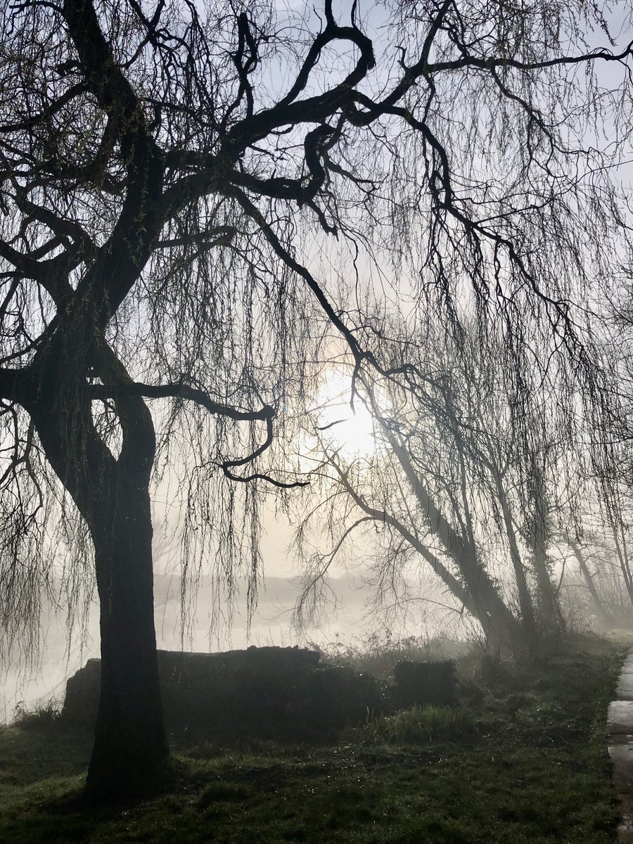 Anne0Keeffe's tweet photo. Lovely morning by the river Shannon #corballybaths #limerick https://t.co/fKhNl8XDzg