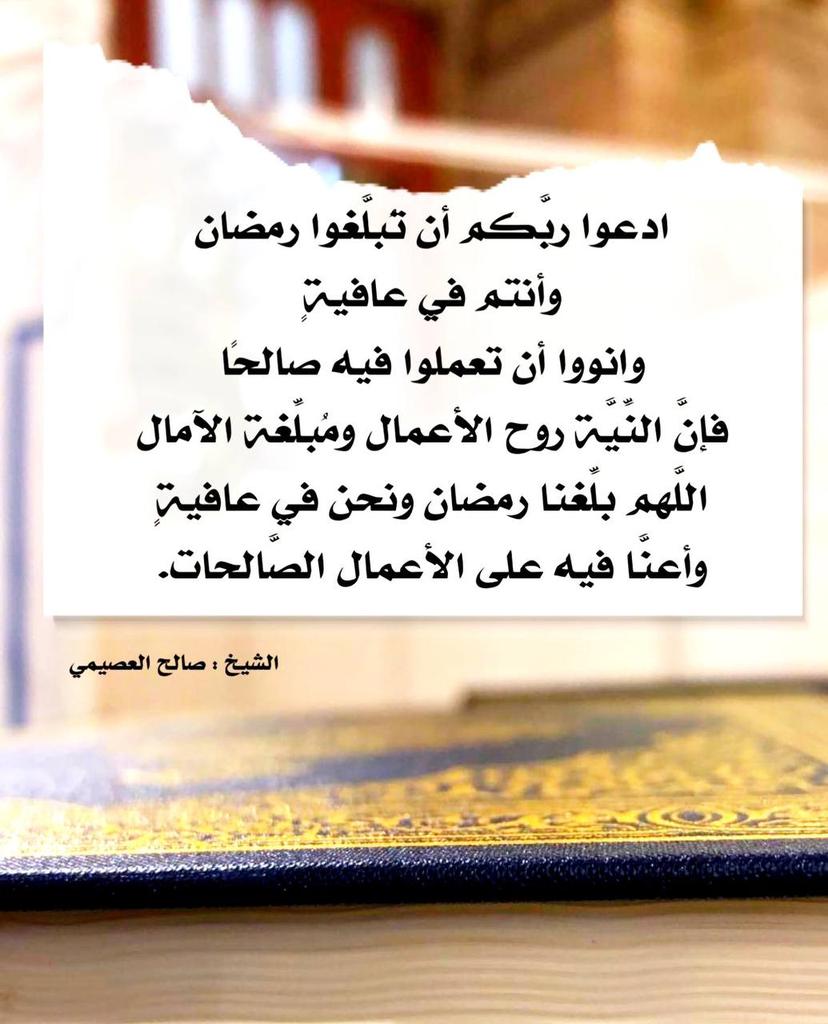 Sarah_ alyousef tweet media