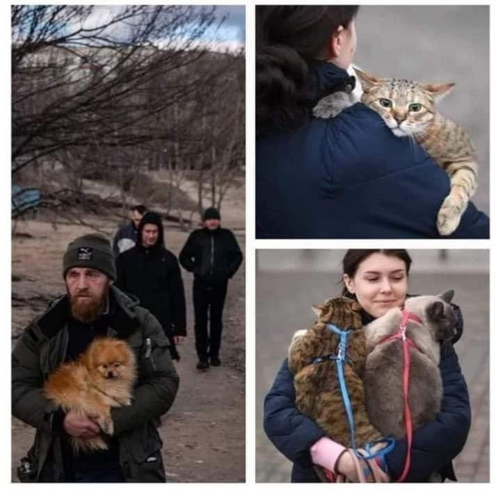 Over 100,000 people have now signed up to home Ukrainian refugees in Britain &amp; they can now bring their companion animals as well. It will take more than bombs &amp; bullets to break the bond between people &amp; animals #Ukraine