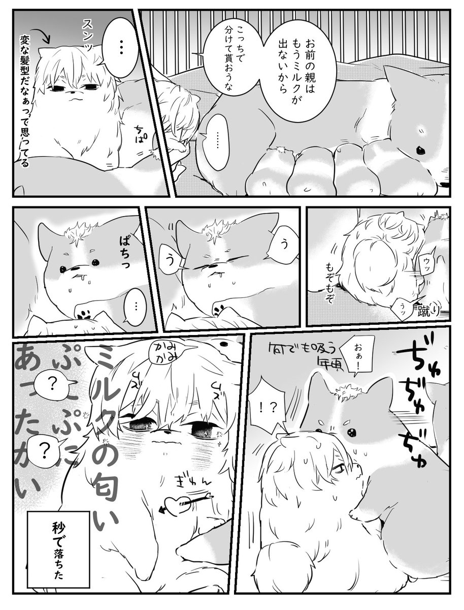 rkgk マイ武さん家に来る前話。
反撃されて落ちた🐶 