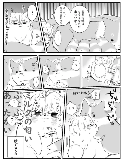 rkgk マイ武さん家に来る前話。
反撃されて落ちた🐶 