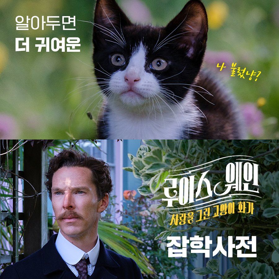 나 영화에서 고양이 이렇게 많이 말하는 영화 처음 봐... <#루이스웨인: #사랑을 그린 고양이 화가> TMI 대방출~~💓 #루이스웨인_사랑을그린고양이화가...