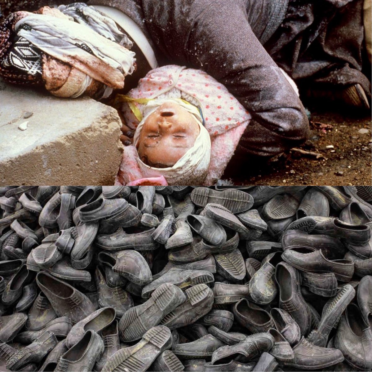 Ahmet Güneştekin☀️ tweet media