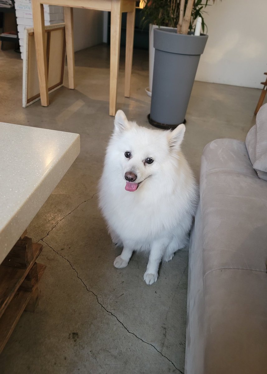 간만에 다시 무즐라 가고프네요~
#무즐라 #초대 #네토 #초대남