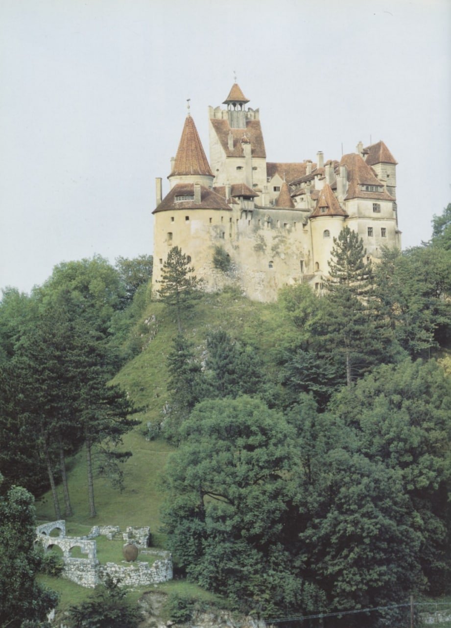 [Image: FN9_FAXXsAAffIN?format=jpg&name=large]