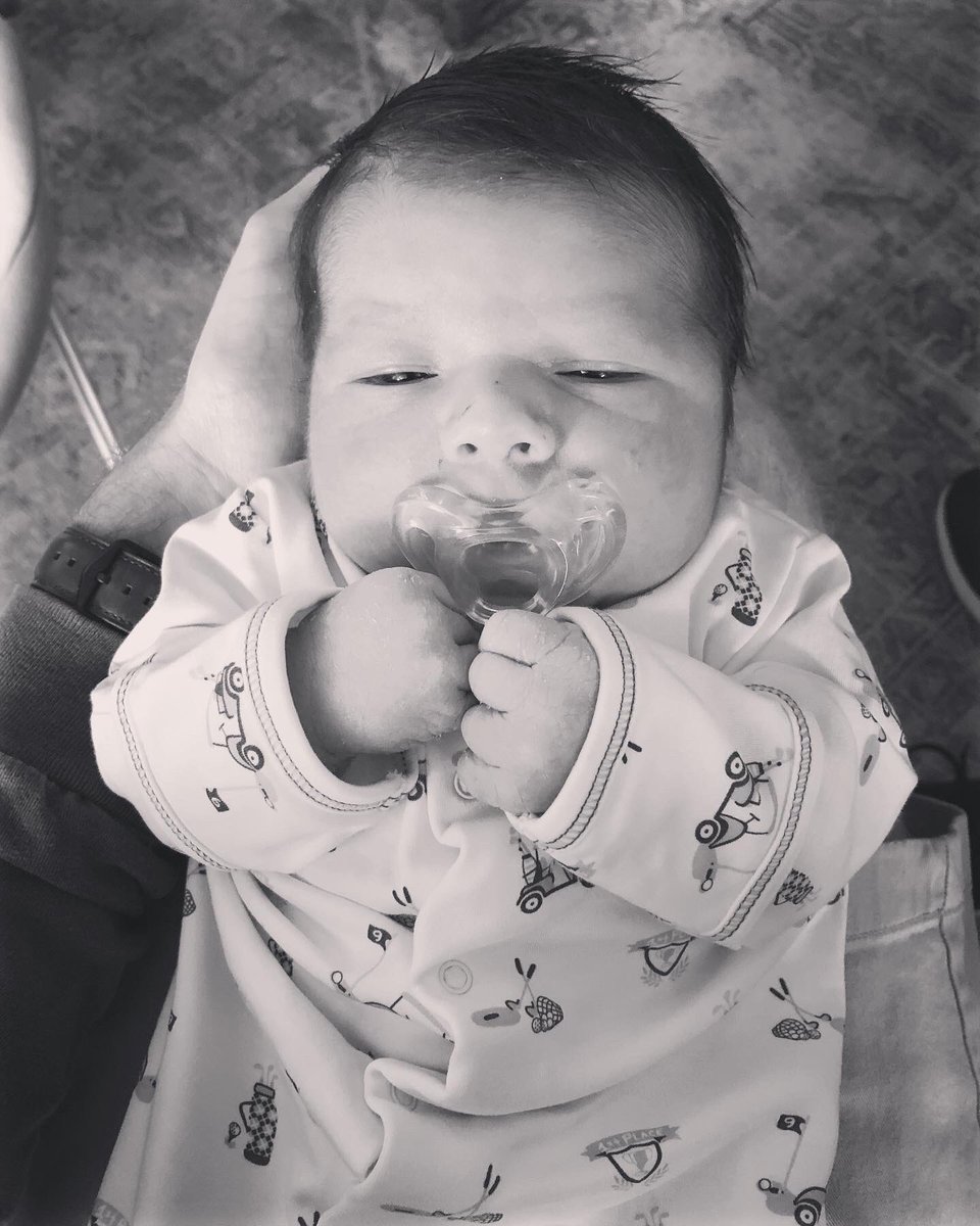 Josh Carpenter tweet media