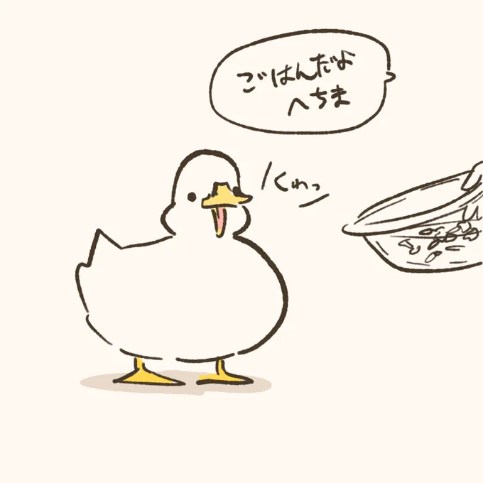 もしアヒルさん飼ってたら付けたい名前をよく妄想してるんですが、今日は「へちま」を思いつきました。 