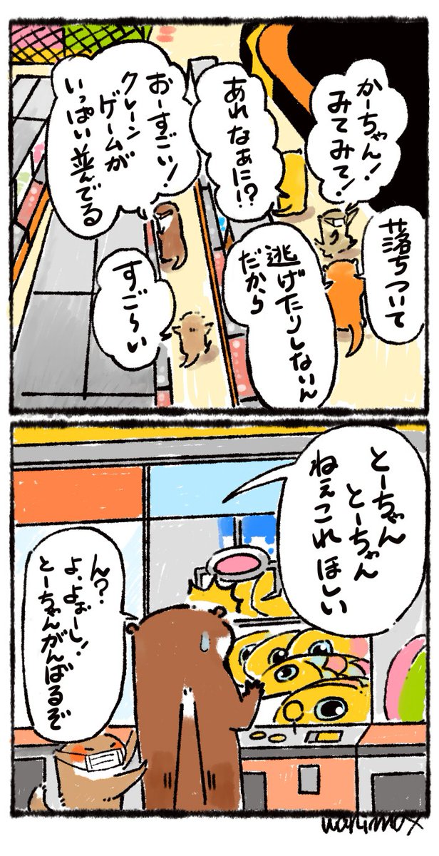 ②カワウソ一家、お手掛け中✨ 