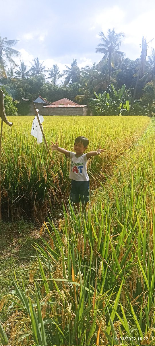 Gede Eka Kusuma Abdi (@gedeekakusuma) on Twitter photo 