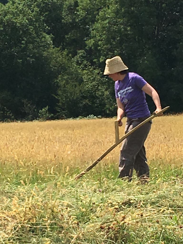 HI_Voices's tweet photo. Specific skills can come in handy (I used to be a geography teacher) but I have learned anything I know about bee biology, ecology identification, and...conservatipn scything...since joining the Trust as a member and as a volunteer with #PollinatingThePeak 5 years ago https://t.co/ebNLX3xCb1