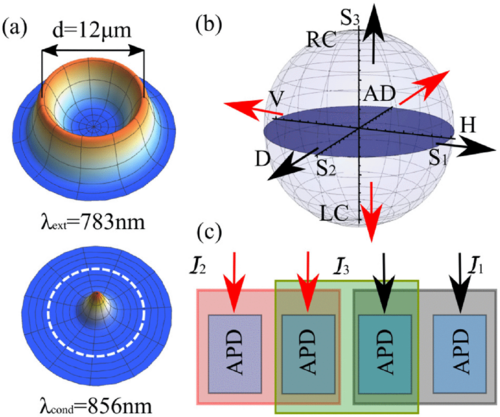 lagoudakis_p's tweet photo. New PRL is out: we study condensate pseudospin mean-field dynamics using polarization tomography on photon correlations in a spinor exciton-polariton condensate to show  transition from a highly coherent to a super-thermal state. https://t.co/hvW5GkL1Sk https://t.co/PaL2suQfsq