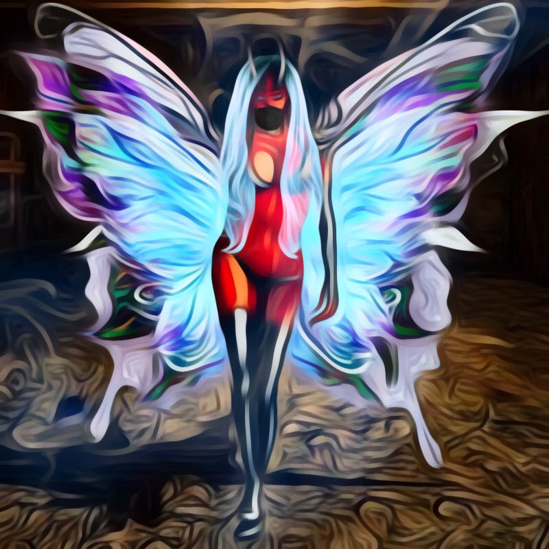 NFT HNSP tweet media