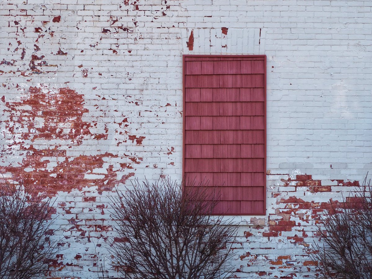 kimwilkie33's tweet photo. Theme: Windows and Doors
I often create themed self-assignments to work on my photography skills, to help train my artistic eye, and to see the world in more detail. This is one of my favorite ongoing themes.
#selfassignment #photography #PhotoTwitter #ThePhotoHour https://t.co/iVObKX24wp