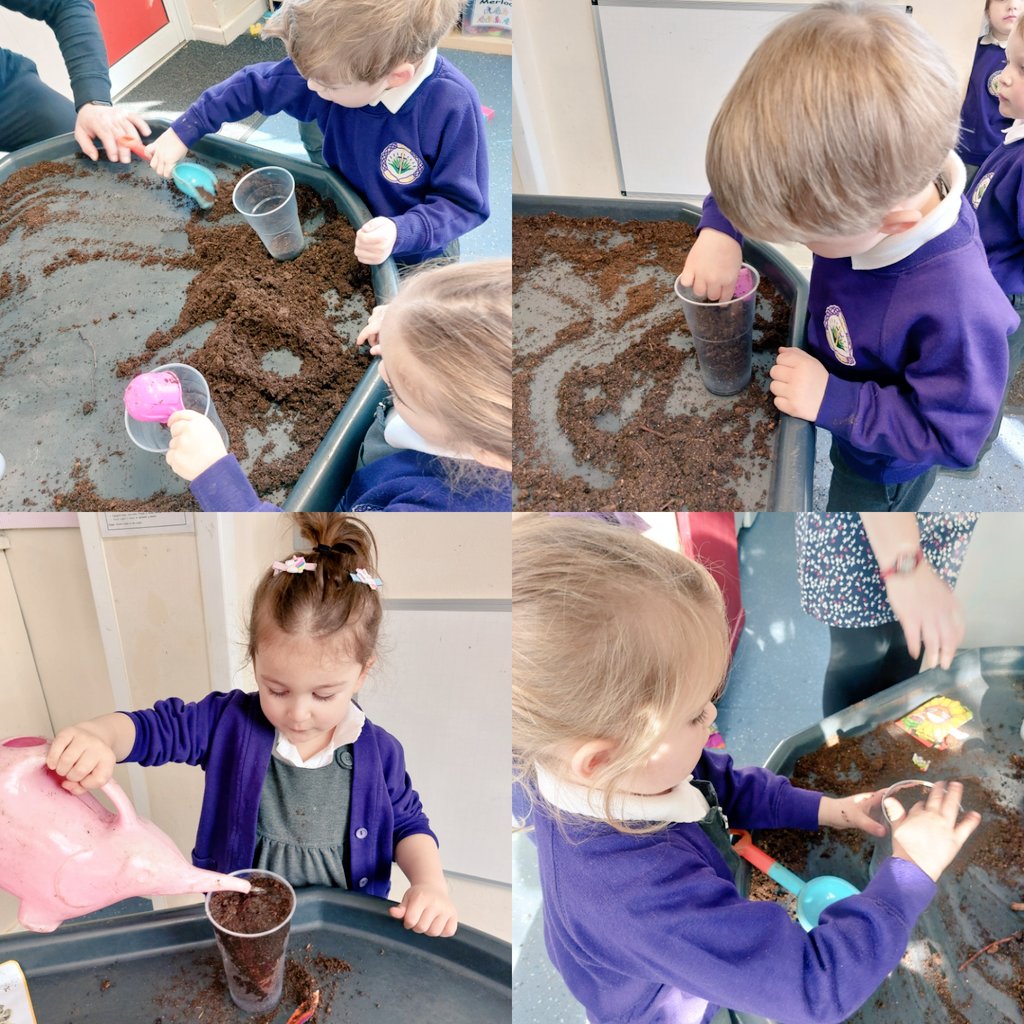 Meithrin Ysgol Sant Curig tweet media