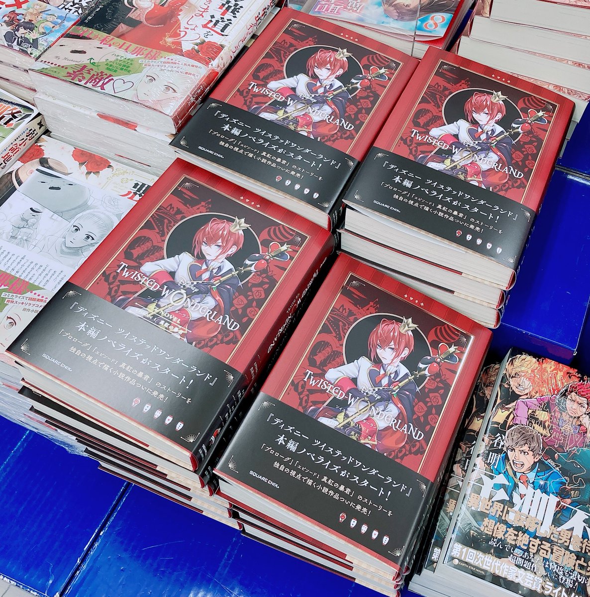 ツイステッドワンダーランド 漫画＆小説 まとめ売り 書籍入荷情報】 #日置じゅん 先生「小説 ディズニー #ツイステッド