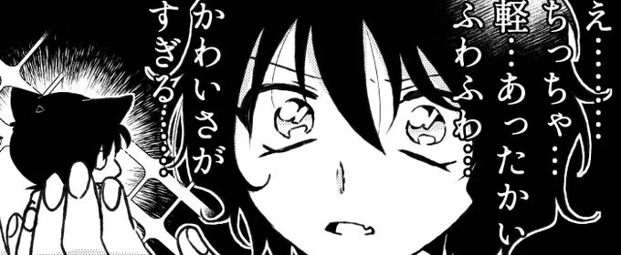 せらしん 