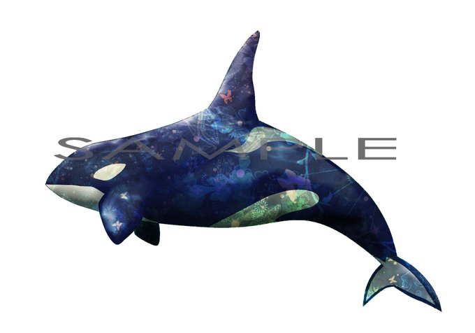 クジラ 高画質 のtwitterイラスト検索結果 古い順 クジラ 高画質 のtwitterイラスト検索結果 古い順
