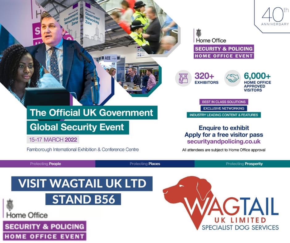 WagtailUK_dogs's tweet photo. Great to be back! Yesterday was 1st day at the Sy & Policing Event at Farnborough. The Official UK Government Global Security Event. We have tobacco dog ‘Pippa’ with us. We’re on Stand B56. #detectiondogs #sniffferdogs #homeoffice #illegaltobacco #explosives #FREDDS #usethebest https://t.co/BK6AMs6kzJ