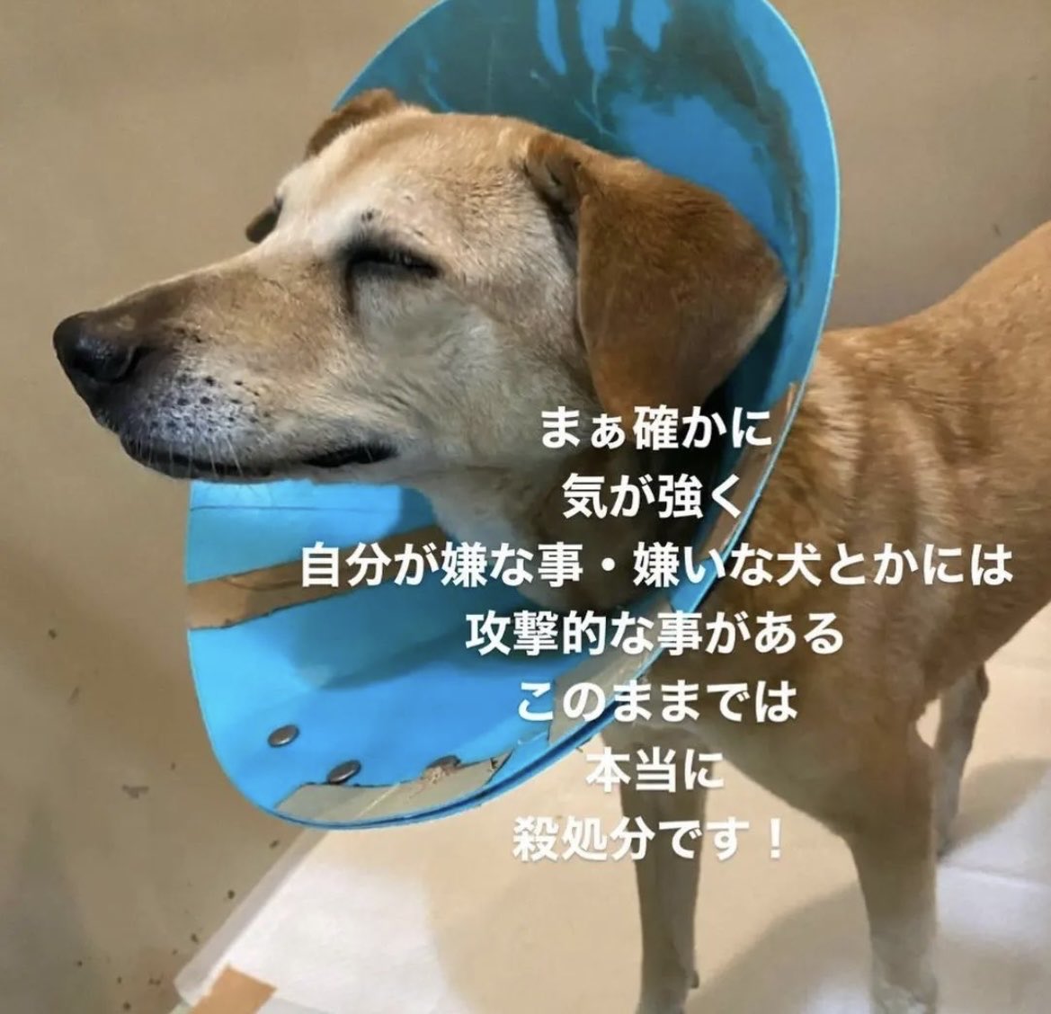 𝐦𝐢𝐚 Alun06 25 Twitter