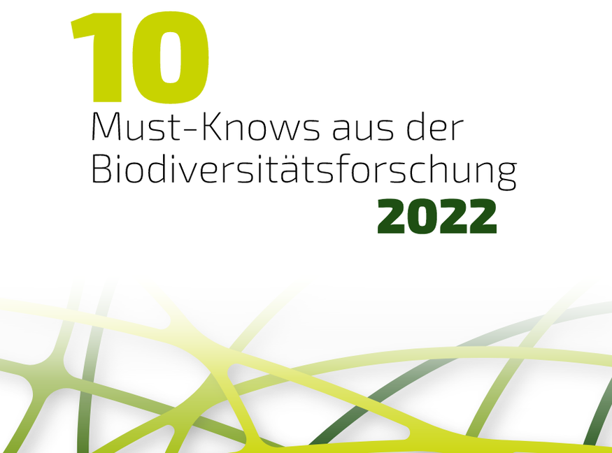 „Wenn wir so weitermachen wie bisher, ruinieren wir die Grundlagen unseres Lebens auf diesem Planeten“- PIKs Kirsten Thonicke zu den #10MustKnows der #Biodiversität: pik-potsdam.de/de/aktuelles/n… Eine Bestandsaufnahme von 45 Expert*innen zum Erhalt der Natur als Lebensgrundlage