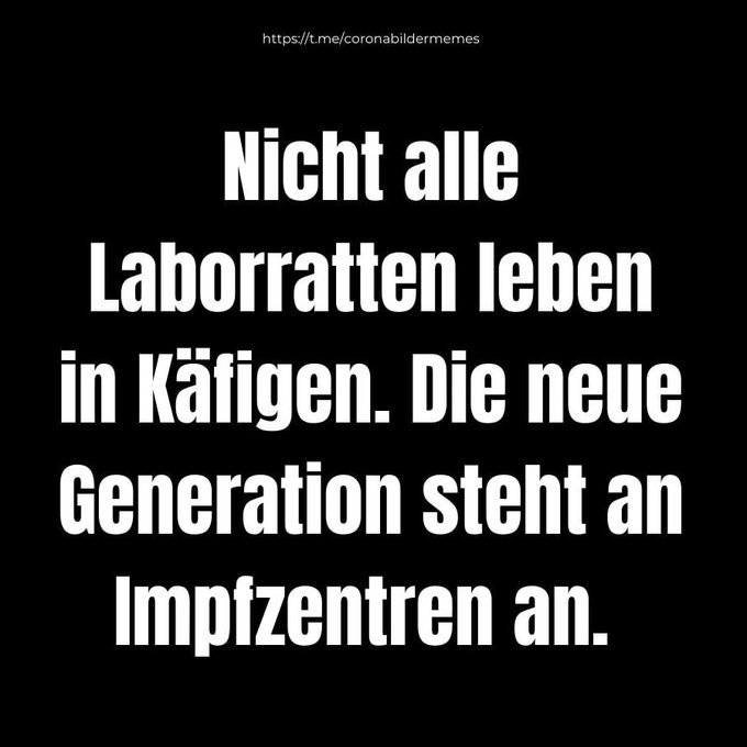 heinrichbork's tweet photo. SEI KEINE #LABORRATTE!!! https://t.co/QVhicgqt5M