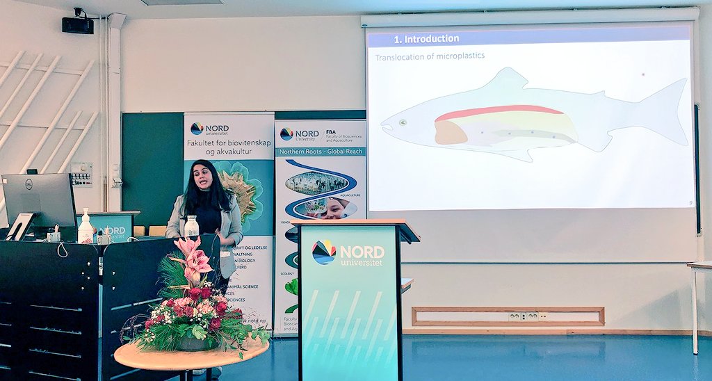 The Science Show at Nord tweet media