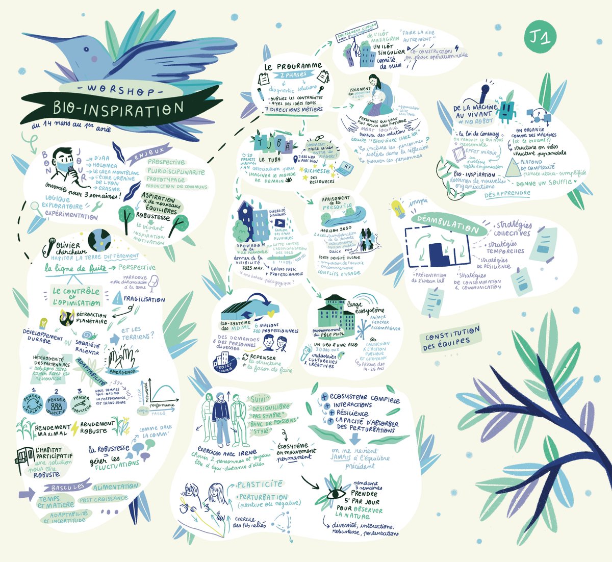 erasme's tweet photo. Retour illustré des deux premières journées du workshop par Laura Palmer. Un bon résumé des approches et des réflexions ! 🌱
#BioInspiraction #RésiliencePublique #BioInspiré https://t.co/V6PudYQdZt