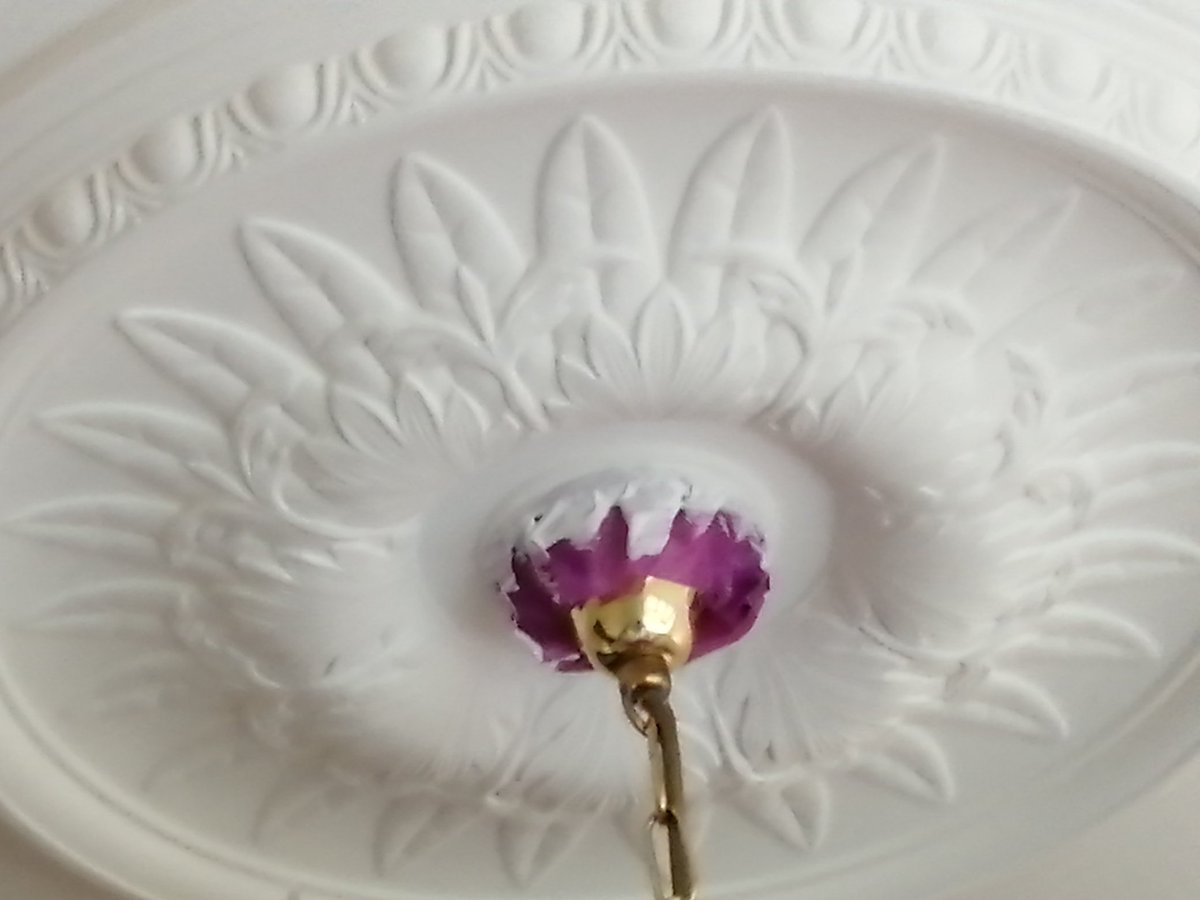 Paint Pot Ladies tweet media