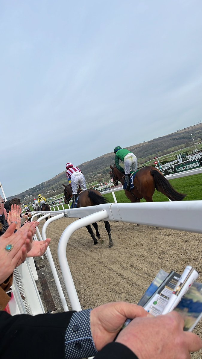 CumminsKeria's tweet photo. Love Cheltenham 🐎 https://t.co/r5Big6krfS