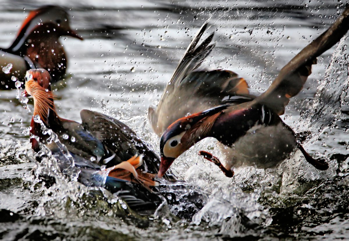 gsecurelabs's tweet image. #cybersafety: Qakbot Botnet now Injecting Malware into Email Threads

Qakbot aka QBot is a banking trojan whose main purpose is info-swiping.

Read More: threatpost.com/qakbot-botnet-…

Protect yourself now, visit: lnkd.in/g6GExexB

#gsecurelabs #cyberattack #qbot #malware