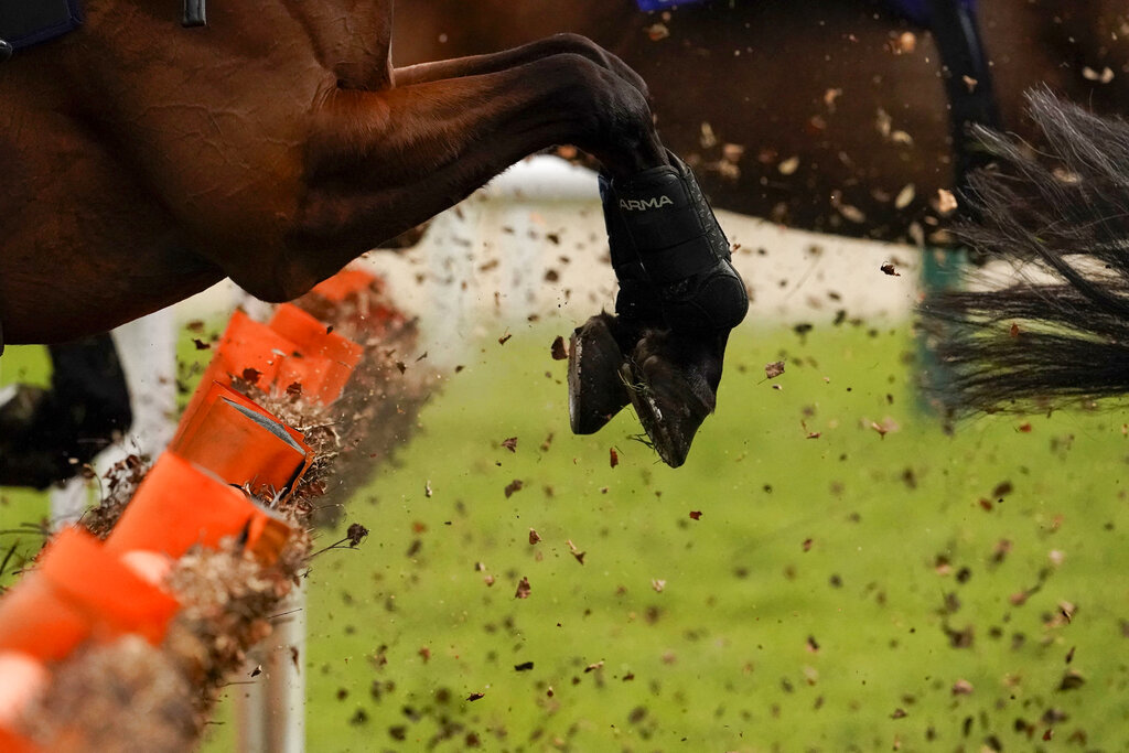 JeremyVineOn5's tweet photo. Should we ban horse racing?

Animal rights groups have called for an end to the sport after a horse was killed during the first race at Cheltenham.

At least one horse has died there, each year for the last 7 years.

So, should it be banned?

#JeremyVine https://t.co/juSxIUBMH4