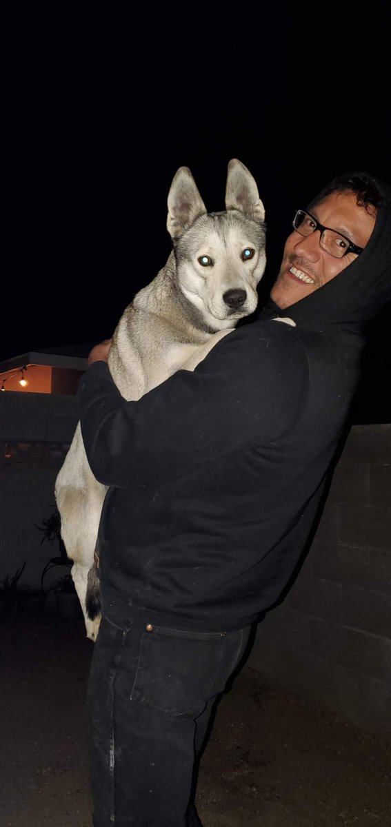 willfrombrasil's tweet photo. Lobinho #husky #AdoptDontShop https://t.co/XV9WqkB1J9