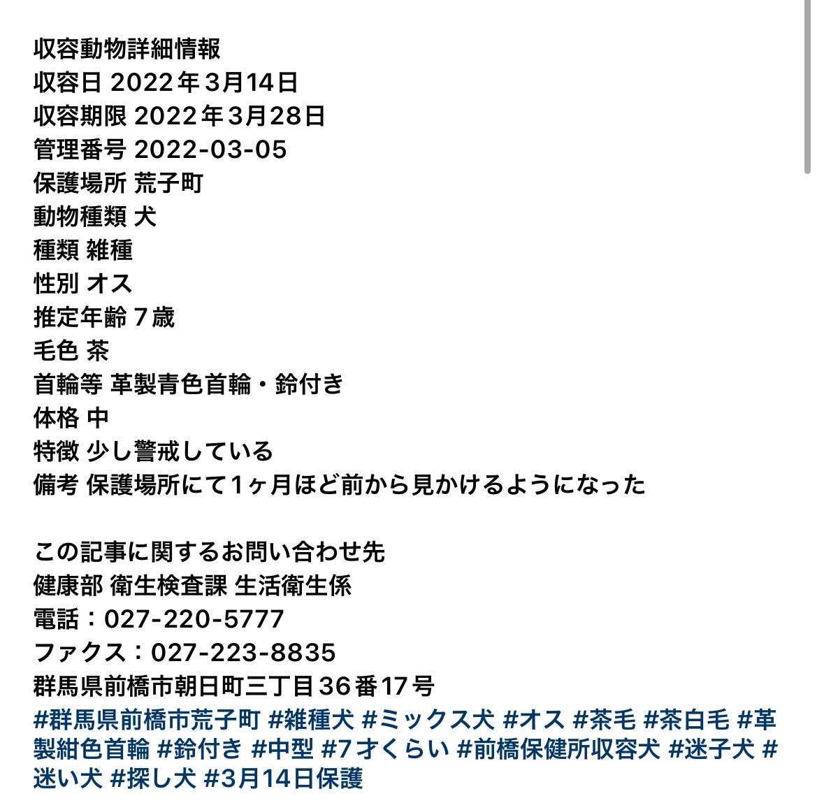 🆘 前橋保健所収容犬 🆘
♦️3月28日(月)期限
🔹群馬県前橋市荒子町で保護
🔹革製紺色の首輪に鈴を付けた茶白毛の雑種
🔹7才位 中型 男の子
🔹飼い主さん探してませんか
🔹早くお迎えに行ってください
#拡散希望RT協力お願いします
#迷子犬 #前橋市
instagram.com/p/CbJWXFuJkSJ/…