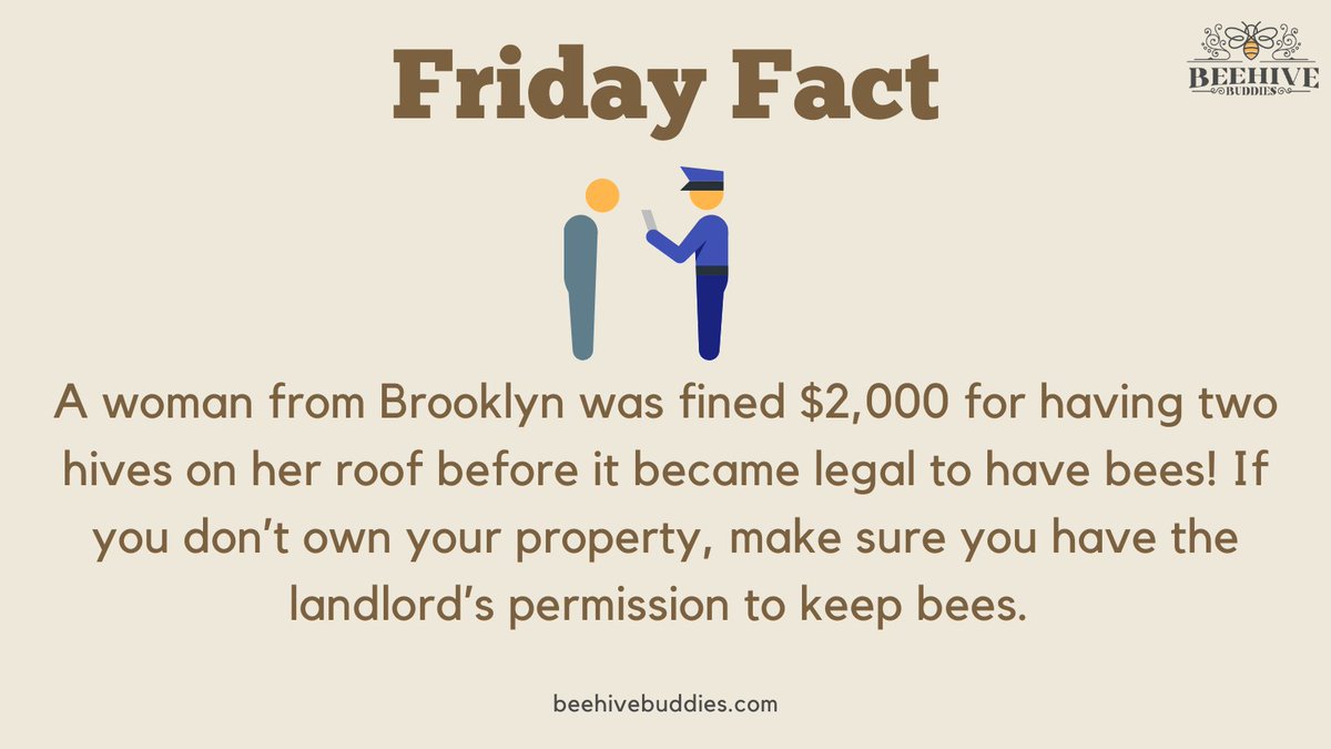 HiveBuddies's tweet photo. Double-check your city ordinances to make sure you are cleared to keep bees. Otherwise, you can be heavily fined.

#savethebees🐝 #beekeeperslife #beehive #beelife #beekeep #lovebees #beekeepinglife #saveourbees #beekeeping  #naturalbeekeeping #beekeepers https://t.co/N6bTmUH6S2