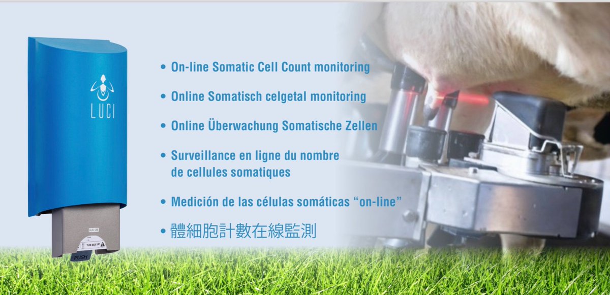 Follow us also on LinkedIn: linkedin.com/company/lucibv
On farm on-line Somatic Cell Count monitoring