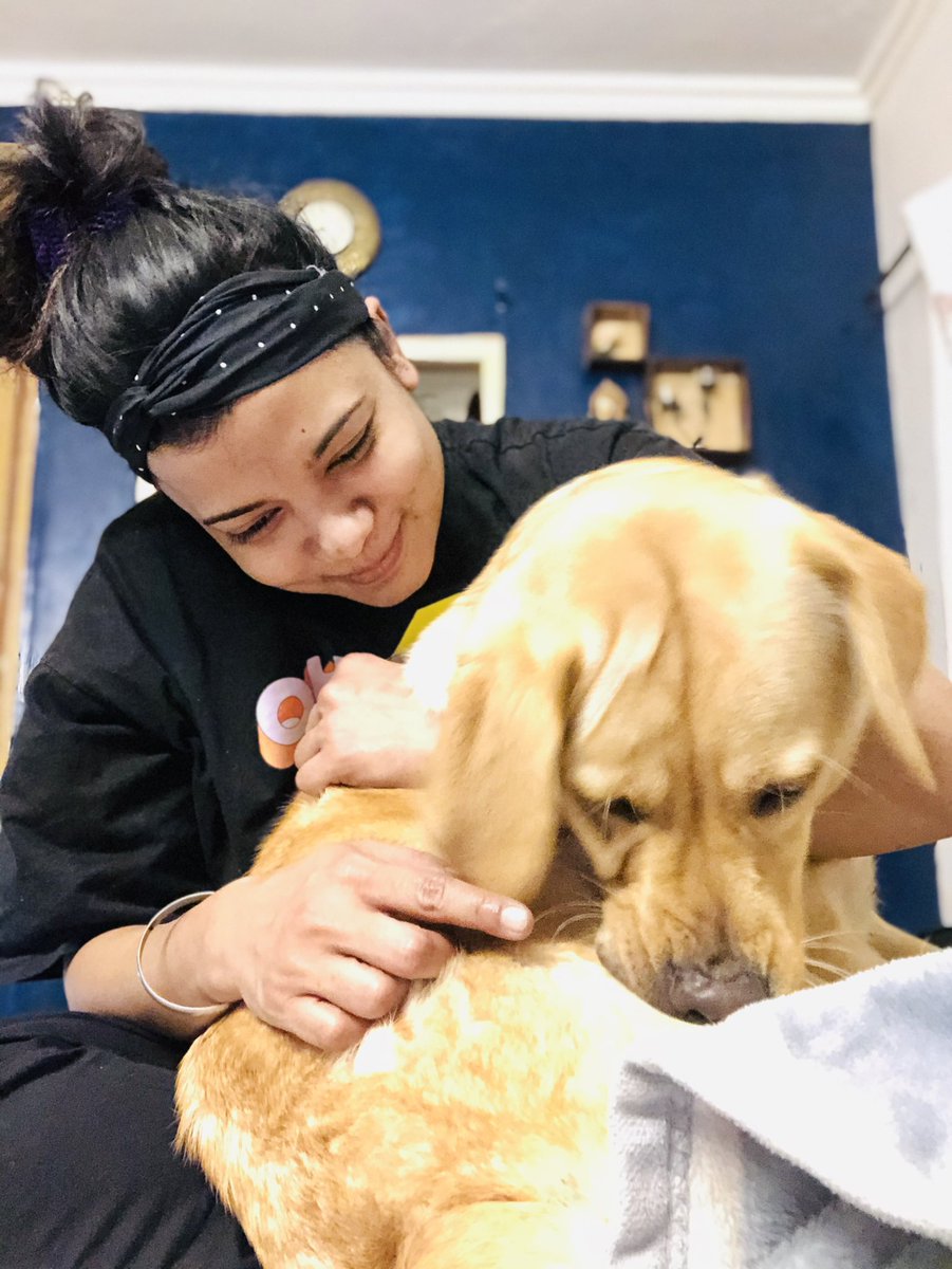 NathaniPuja's tweet photo. Photo dump #002
You had me at woof 🐾
#birthdaygirl #cocojumbo #dogsoftwitter https://t.co/XWSK0QXBUy