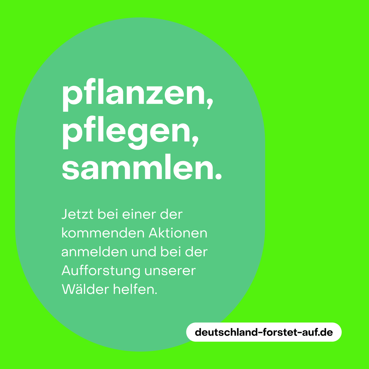 Climate Anxiety? Wir haben da ein Gegenmittel. Pflanzen, Pflegen, Sammeln! Mehr Infos: deutschland-forstet-auf.de

#aufforsten #wald #forest #klimakrise #pflanzen #aufforstung #klimaschutz #klimawandel #waldsterben #baumsetzling #climatechange  #deutschlandforstetauf #waldpflege