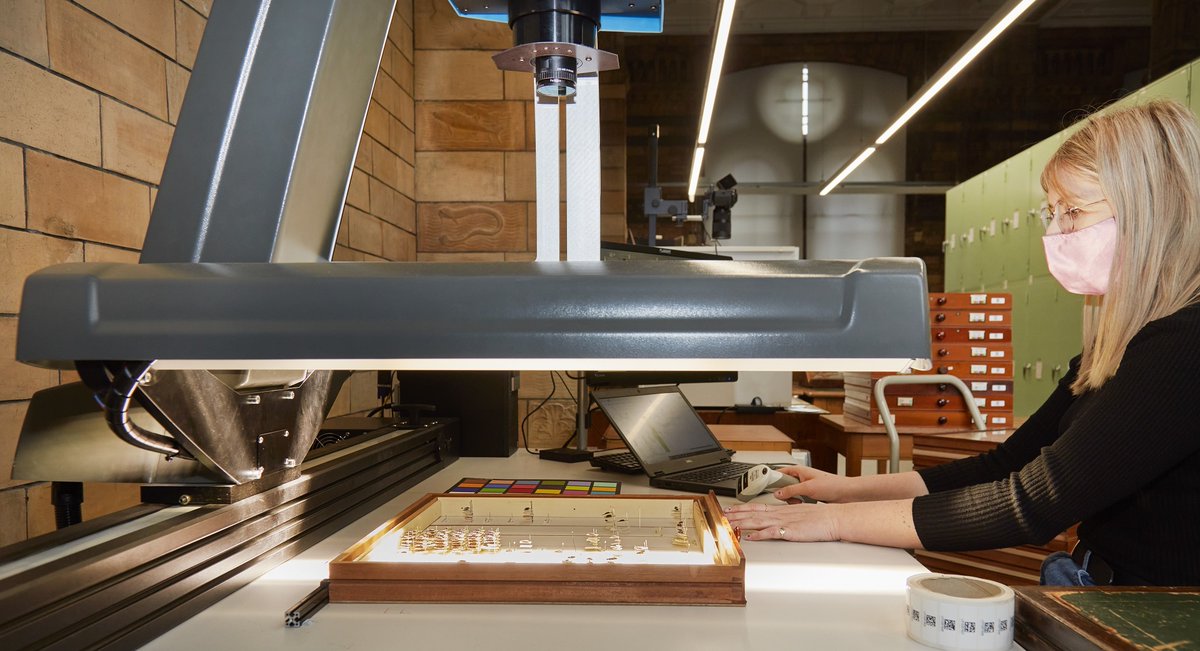 Europeana tweet media