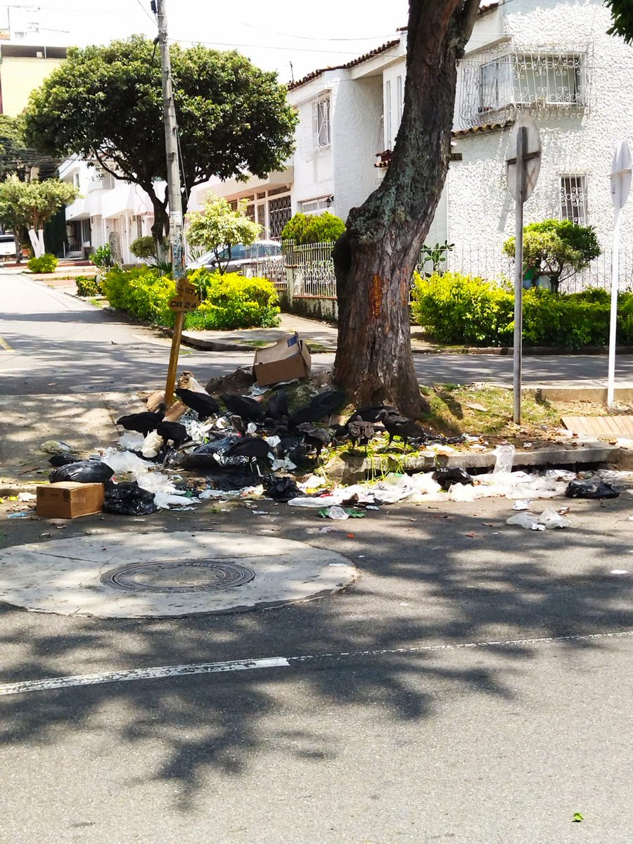 JulioAcelas's tweet photo. La INCULTURA ciudadana y la NEGLIGENCIA institucional, volvieron el barrio #DiamanteII en un foco de inseguridad y peligro: habitantes de calle, gallinazos, basuras, inseguridad y miedo

@EmabEsp @soyjaimeandres @manolete @ChumiCastaneda @IMCTBGA @JohnCarlosPabon @TOSCANA2611 https://t.co/4sASyGJwID