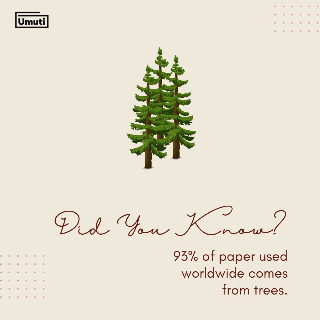 Did you know that using our paper bags would be one of the great ways to reduce deforestation?

Don’t hesitate to reach out to us if you need our products!

#umutipackaging #gogreen #sustainability #packagingrevolution