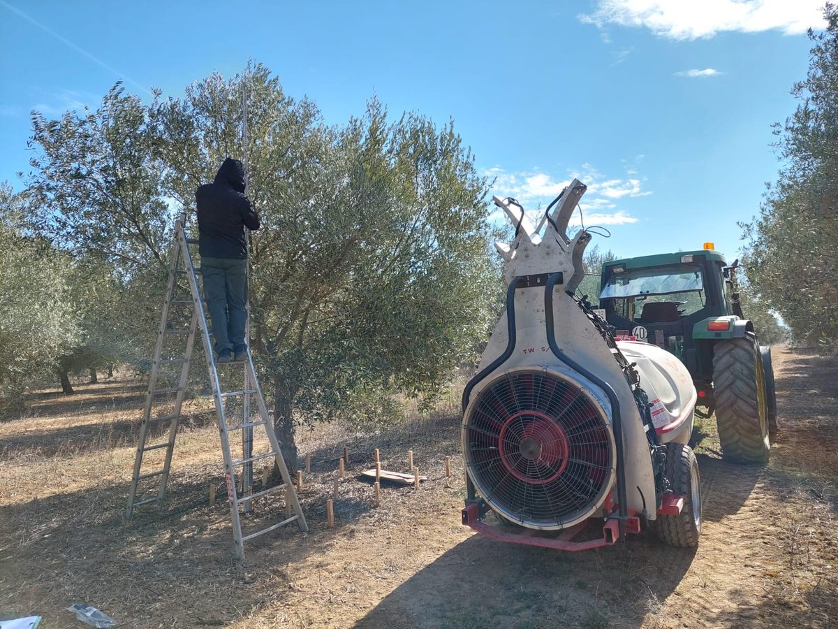 proyectoPIVOS's tweet photo. 🗣El equipo de LAMAGRI @unizar realiza desde principios de marzo ensayos en #olivar
Esta 1ª fase se está caracterizando el flujo de aire de un pulverizador hidroneumático con ventilador trasero
El objetivo es evaluar el comportamiento del aire en el interior de la copa https://t.co/3fiTk452Zb