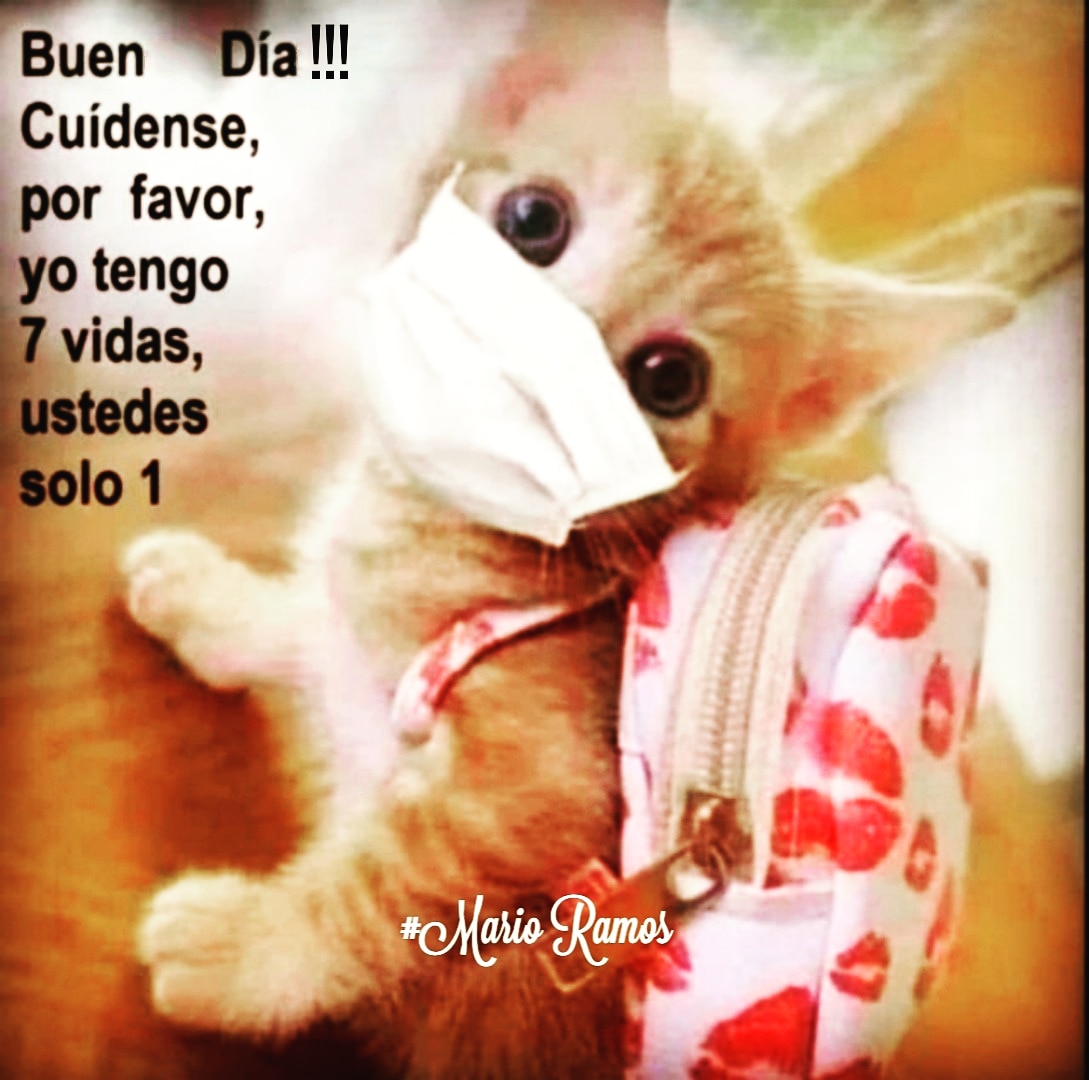 Mario_Ramos27's tweet photo. Por qué disfruto cada vez más de días llenos de éxito y abundancia???
#ExcelentementeExcelente
#SaludRiquezaFelicidad
#WinnersTeam #EstilodeVida
#ElPoderEstaEnCreer
#MarioRamos 👑 https://t.co/4Hm9Tjie1u