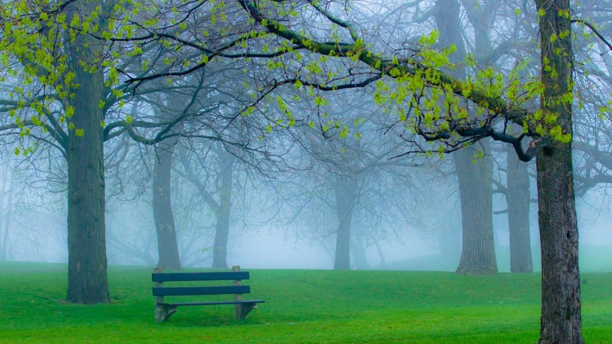 a place in some hearts ..